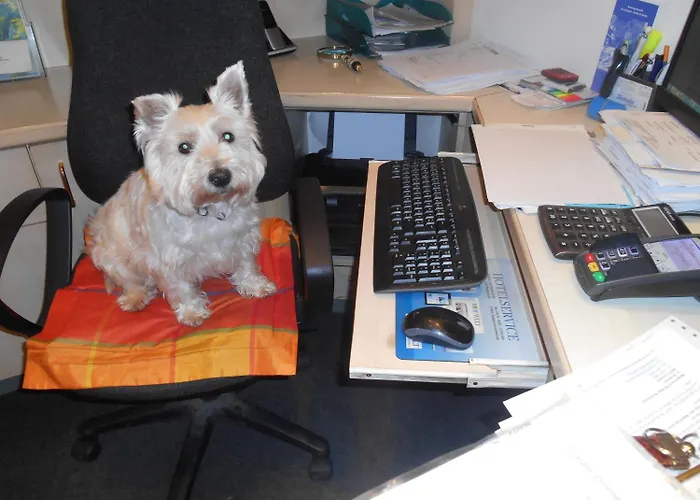 Moselromantik Hotel Weissmühle